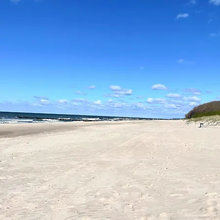 Right On The Beach, Siano Ty *