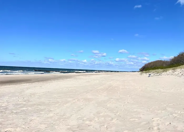 Right On The Beach, Siano Ty *